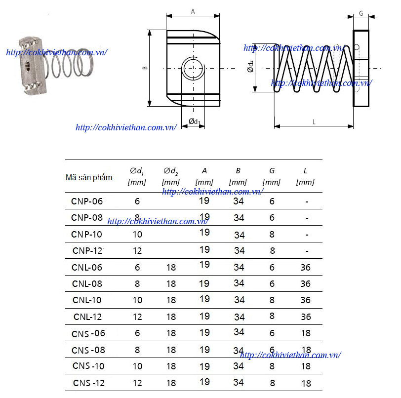 CON TÁN LÒ XO INOX