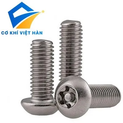 bu lông chống trộm inox