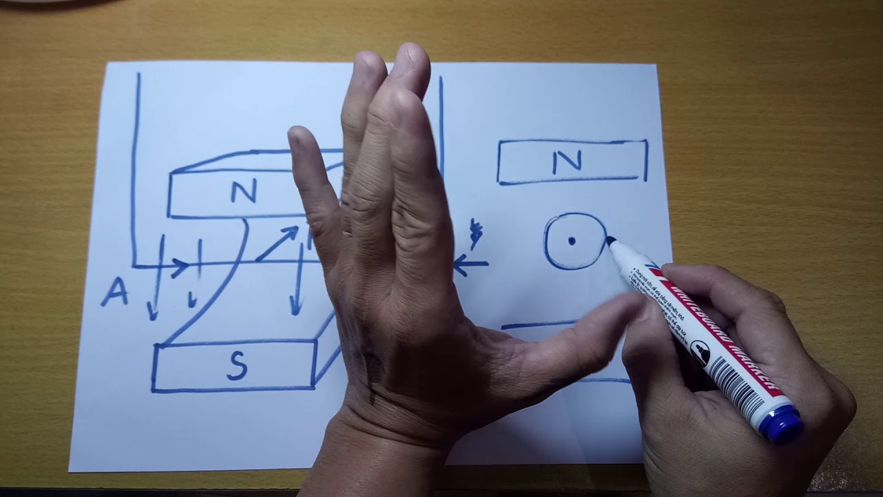 quy tắc bàn tay trái dùng để xác định 1