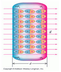 điện môi là gì