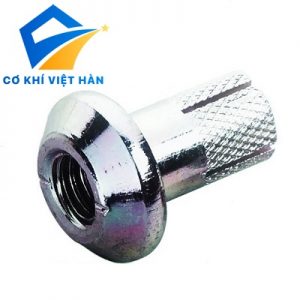 TẮC KÊ NỞ ĐÓNG DẠNG NẤM