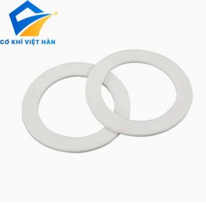 GIOĂNG PTFE MẶT BÍCH